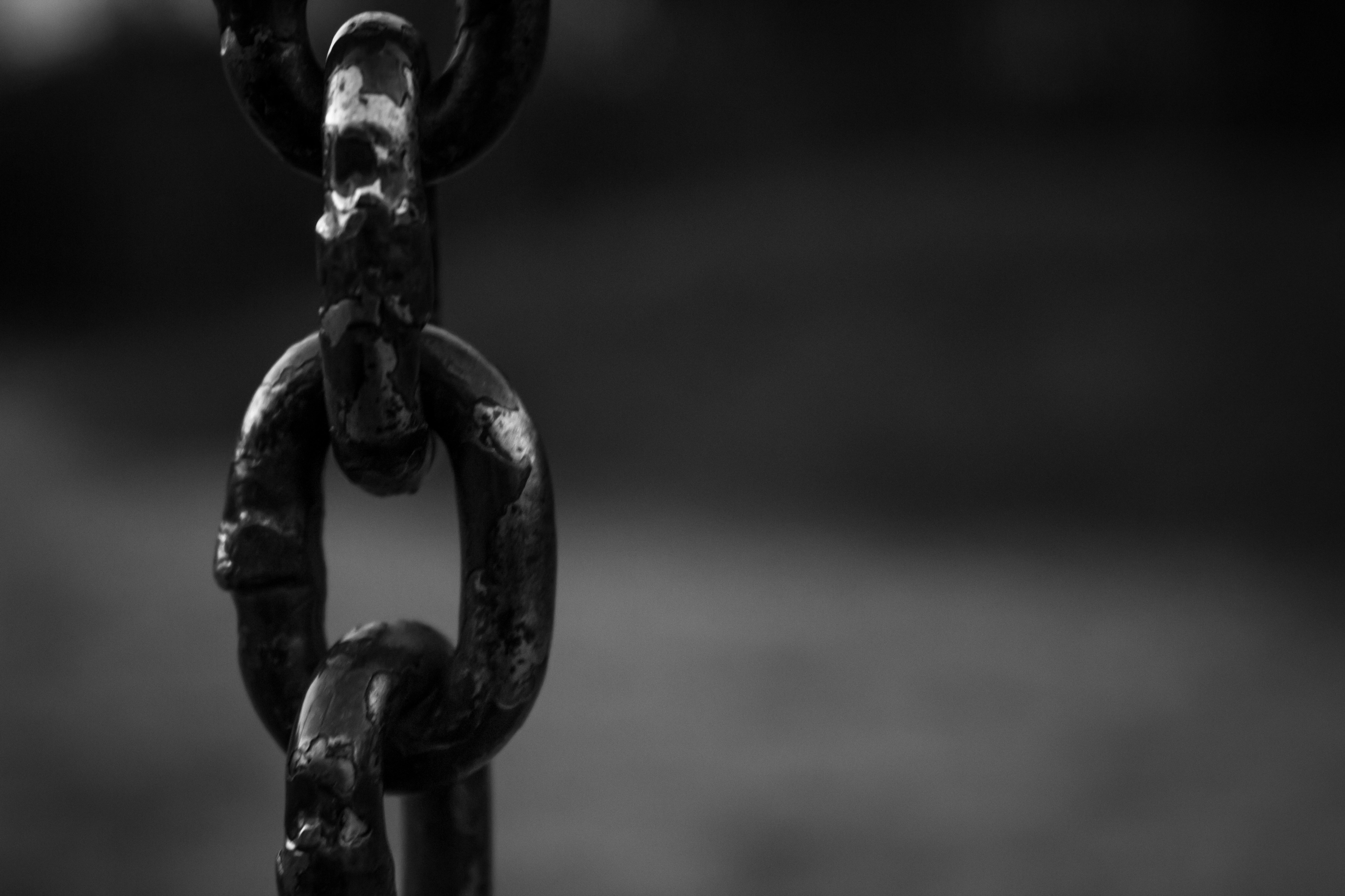 Freedom From The Chains